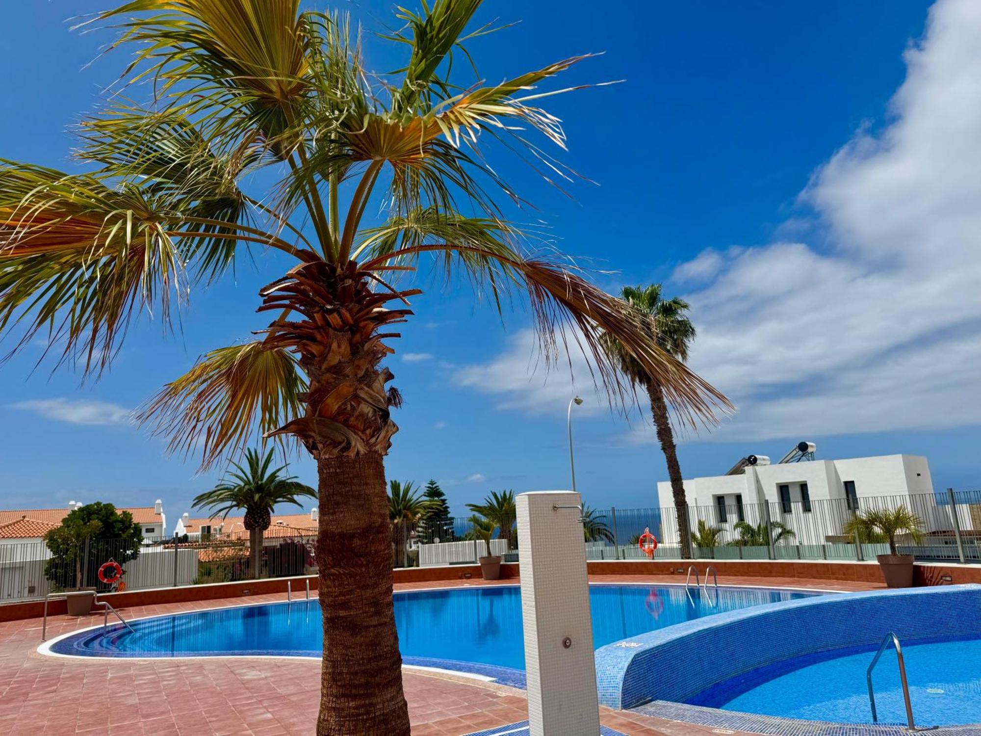 Stunning Apartments With Pool Tenerife Costa Adeje  Eksteriør billede